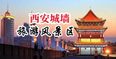 直插下面男女免费中国陕西-西安城墙旅游风景区